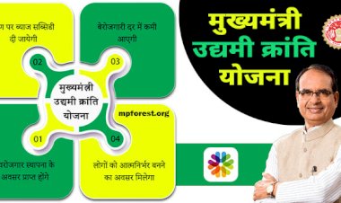 Let’s understand How Mukhyamantri Udyam Kranti Yojana 2023 will benefit  your startup