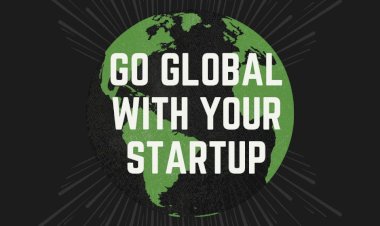 IM Global Acceleration Program: Empowering Startups to Achieve Success
