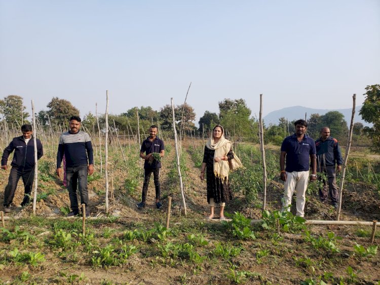 RISE KISAN: A Startup Empowering Farmers and Providing Affordable Food