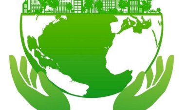 Growing Greener: Nurturing a Sustainable Startup Ecosystem for a Better Tomorrow