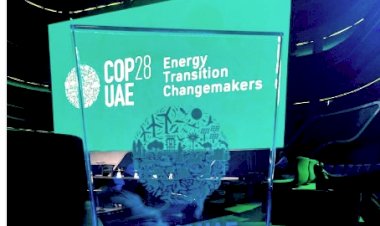 Catalyzing Change: The Dynamic Partnership of Startups and Industry Leaders in Global Energy Transformation