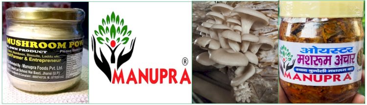 CULTIVATING SUSTAINABILITY: THE INSPIRING JOURNEY OF MANUPRA FOODS