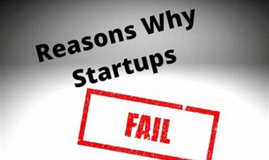 What's behind the failure of most startups?