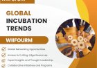 6 Reasons to Follow WIIFORUM for Global Startup Acceleration Trends