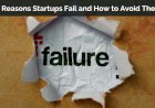 Startup Failures and How to Avoid Them: Common Pitfalls and Solutions