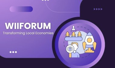 Local Economies Transformed: The Impact of Incubators Supported by WIIFORUM