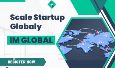 How IM Global Startup Accelerator Can Propel Your Indian Startup to International Markets