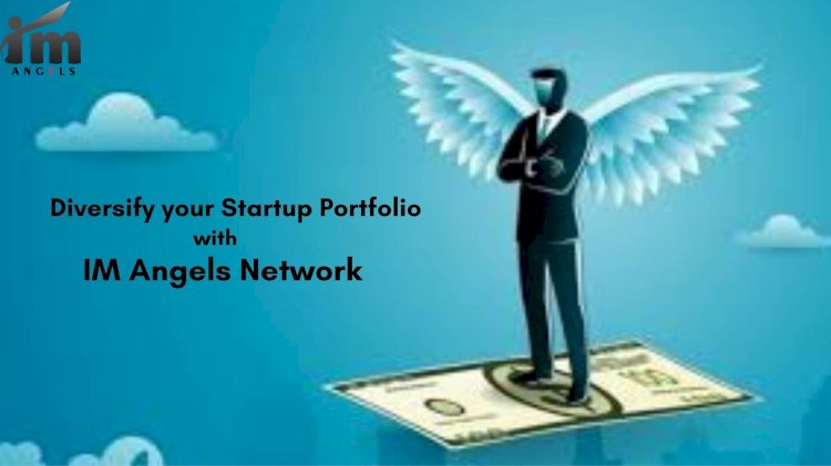 The Ultimate Guide to Diversifying Your Startup Investments: Strategies from IM Angels