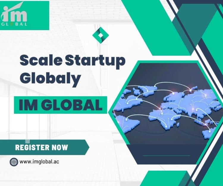 How IM Global Startup Accelerator Can Propel Your Indian Startup to International Markets