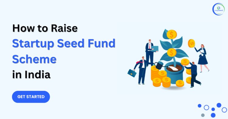 Understanding Seed Funding: How Startup India Can Help You raise It