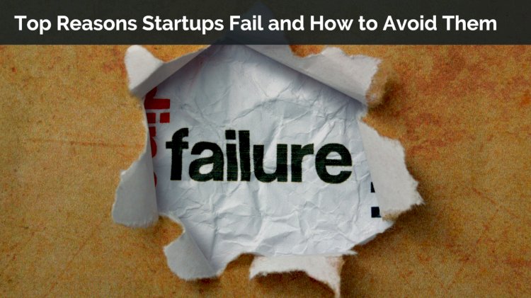 Startup Failures and How to Avoid Them: Common Pitfalls and Solutions