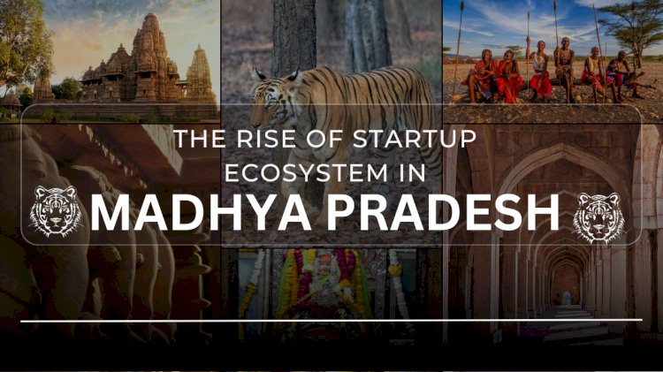 The Rise of Startup Ecosystem in Madhya Pradesh