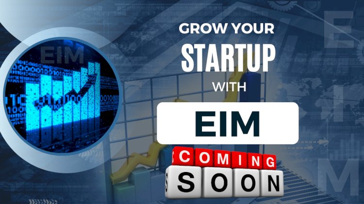 From Idea to IPO: Elevate with Incubation Masters EIM's All-in-One Solution