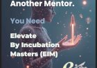 You Don’t Need Another Mentor. You Need EIM — Here’s Why