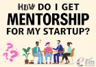 How Do I Get Mentorship for My Startup?