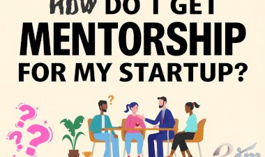 How Do I Get Mentorship for My Startup?